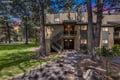 A forest setting where tall pines shelter the property's main building, with well-kept grounds stretching beneath the trees. The surrounding area welcomes guests with natural beauty and a peaceful atmosphere.