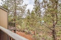 Views from Patio Area