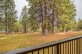 Views from Balcony