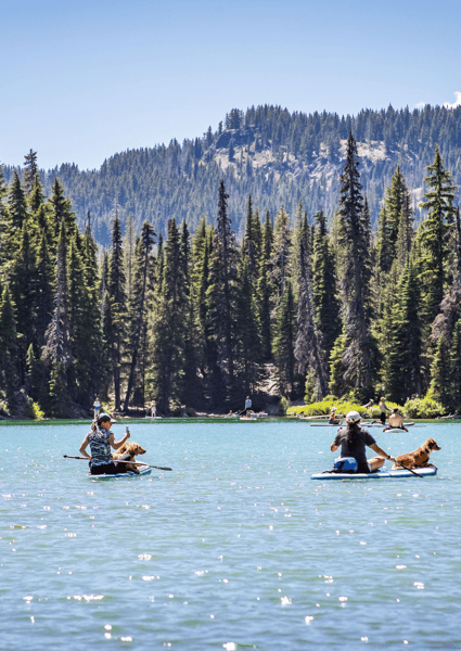 People kayaking on the river